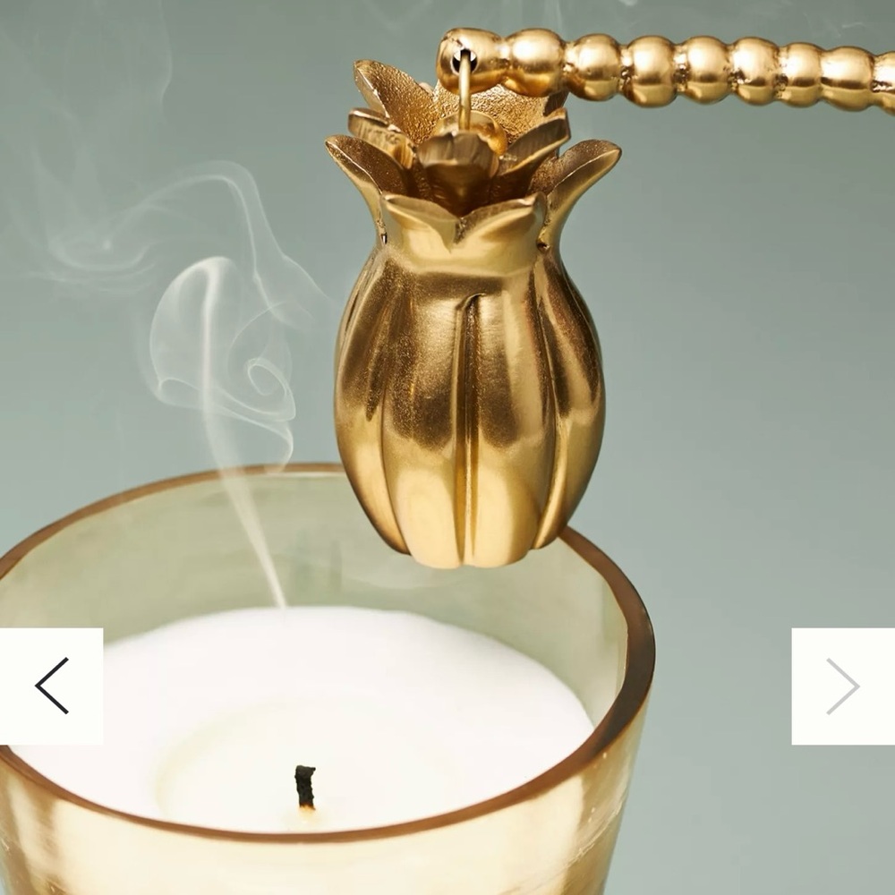 Anthropologie Cara Pineapple Candle Snuffer